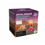 Set experimente - Cristal si dinozaur (Ankylosaurus) PlayLearn Toys, Topbright