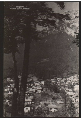 CPIB 22557 - CARTE POSTAL - BUSTENI, VEDERE SPRE CARAIMAN, RPR, NECIRCULATA foto