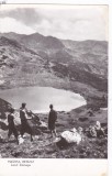 AMS - ILUSTRATA 1160, MASIVUL RETEZAT, LACUL ZANOAGA, ANUL 1960, Circulata, Fotografie