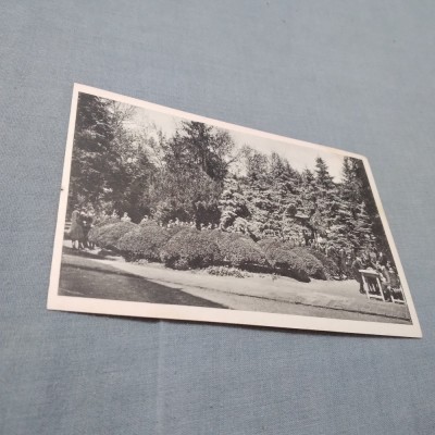 CARTE POSTALA INTERBELICA TEMESVAR INSTITUT SCHULSCHWESTERN NECIRCULATA foto