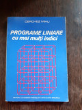 PROGRAME LINIARE CU MAI MULTI INDICI - CERCHEZ MIHU