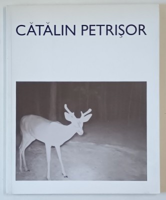 CATALIN PETRISOR , ALBUM DE ARTA CU TEXT IN LIMBA ENGLEZA , 2010 foto