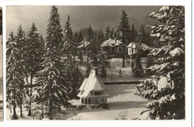 CPI B 10865 CARTE POSTALA - IARNA LA PREDEAL foto