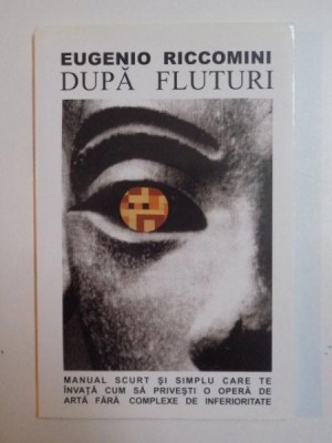 DUPA FLUTURI , MANUAL SCURT SI SIMPLU CARE TE INVATA CUM SA PRIVESTI O OPERA DE ARTA FARA COMPLEXE DE INFERIORITATE de EUGENIO RICCOMINI , 2002 foto