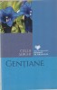 CELLA SERGHI - GENTIANE