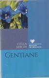CELLA SERGHI - GENTIANE