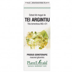 Extract Muguri Tei Argintiu 50ml PlantExtrakt