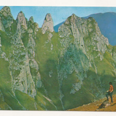 CA11 -Carte Postala- Muntii Bucegi, Coltii Morarului, necirculata