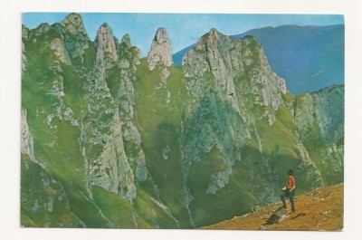 CA11 -Carte Postala- Muntii Bucegi, Coltii Morarului, necirculata foto