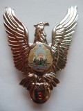 ROMANIA - INSIGNA MILITARA AVIATIE - PILOT CL. 3, MODEL 1977, RSR, IM1.121