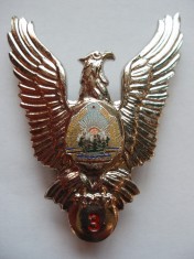 ROMANIA - INSIGNA MILITARA AVIATIE - PILOT CL. 3, MODEL 1977, RSR, IM1.121