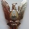 ROMANIA - INSIGNA MILITARA AVIATIE - PILOT CL. 3, MODEL 1977, RSR, IM1.121