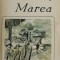 MAREA , MAREA de IRIS MURDOCH , 1983