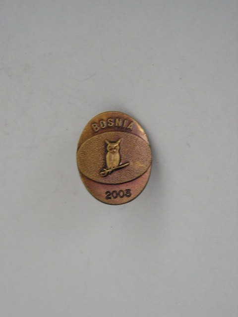 QW9 N 15 - insigna - militar - misune Bosnia 2003 - bufnita pe spada