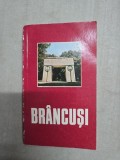 Br&acirc;ncuși - Dan Grigorescu