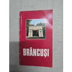 Br&acirc;ncuși - Dan Grigorescu