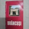 Br&acirc;ncuși - Dan Grigorescu