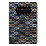 Frankenstein (Chiltern Classic)