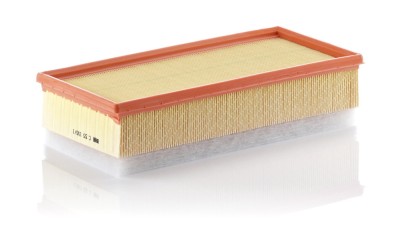 MANN-FILTER C 33 156/1 Filtru aer foto