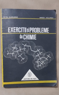 Exerciții și probleme de chimie - Petru Budrugeac, Mircea Niculescu foto