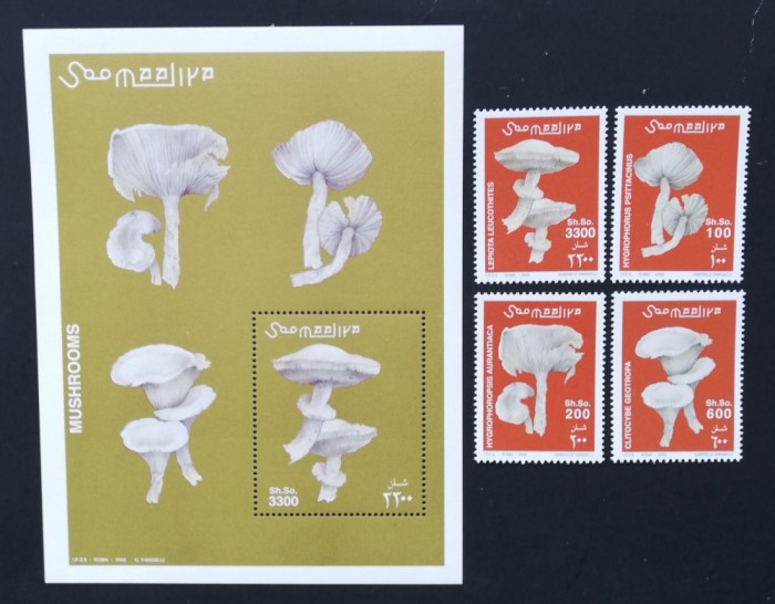SOMALIA-2002-CIUPERCI-Serie 4 V.+1 Coala Mica**SOM 089