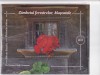 2017 Romania - Album filatelic Zambetul ferestrelor,Muscatele LP 2169b, Flora, Nestampilat