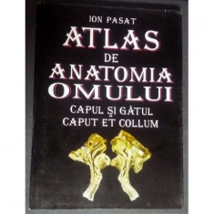 Atlas de anatomia omului : Capul si gatul/ Caput et collum foto