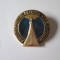 URSS/Rusia insigna colectie Muzeul Memorial de Cosmonautica al URSS din Moscova anii 70,dimensiuni:28 x 27 mm