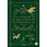 O calatorie spre centrul Pamantului. Volumul 24. Biblioteca pentru copii, Litera