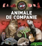 Animale de companie. 3D/***, Kreativ
