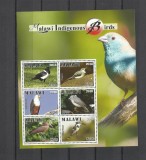 MALAWI 2018 FAUNA PASARI