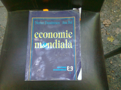 ECONOMIE MONDIALA - STERIAN DUMITRESCU foto