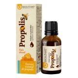 Extract natural de Propolis fara alcool, 20 ml, Dacia Plant