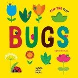 Hidden Bugs