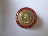 Insignă Romania:Societatea Numismatica Romana-Sectia Botosani 1982-2002
