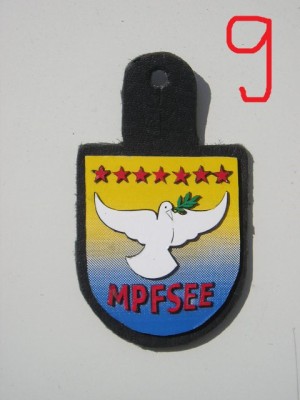 QW8 9 - Insigna - tematica militara - MPFSEE - suport piele foto