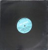 Vinil THE SHAKER - Just Lick It (Mooncat Remix) 1995, Ugly Bug Records, 33 RPM, Folk/Pop/Rock