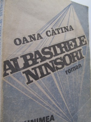Albastrele ninsori - Oana Catina foto