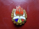 Insigna pionier