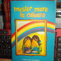 MESTER MARE LA CULOARE ( CARTE DE COLORAT ) , 1991