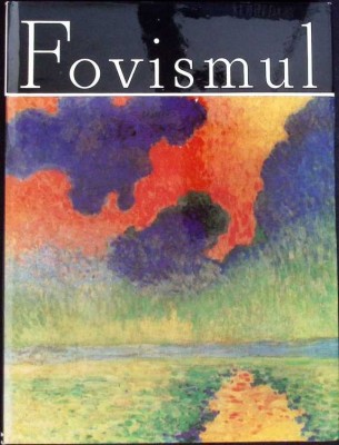 FOVISMUL-COLECTIV-273561 foto