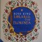 Librarul din Florenta. Vespasiano da Bisticci si manuscrisele care au iluminat Renasterea &ndash; Ross King