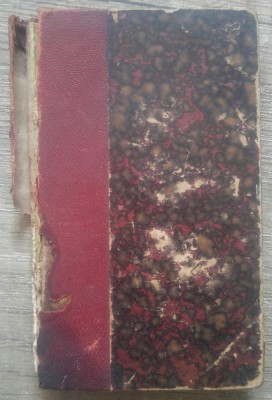 Les rayons et les ombres - Victor Hugo// 1840 foto