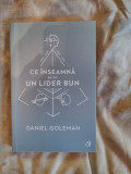 Ce inseamna sa fii un lider bun-Daniel Goleman