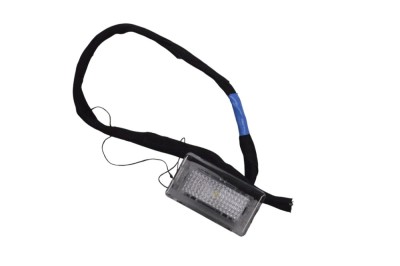 Iluminare interioară TESLA MODEL S 2016 OEM: 1-INJ-907-000 23199009 foto