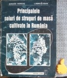 Album Principalele soiuri de struguri de masa cultivate in Romania Adriana Indreas, Luminita Visan
