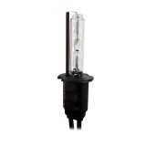 Cumpara ieftin Bec Xenon H3-4,3K - CARGUARD Best CarHome