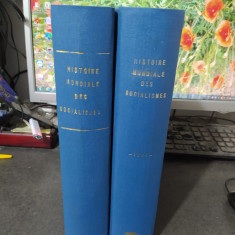 Histoire mondiale des socialismes, 2 vol., xerox, Armand Colin, Paris 1984, 162