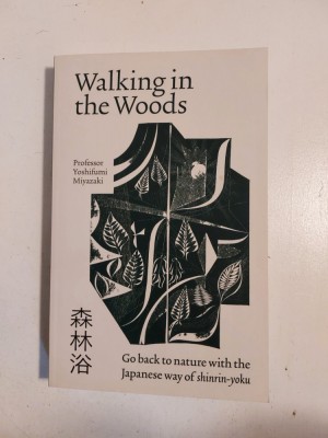 Walking in the Woods, Yoshifumi Miyazaki foto
