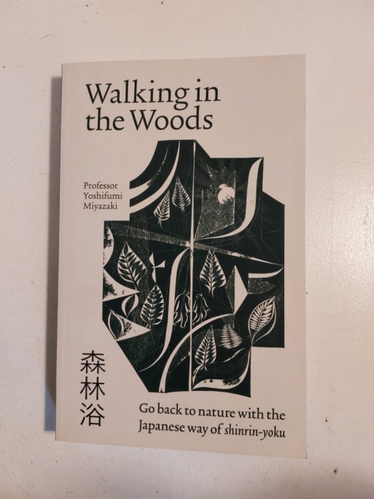 Walking in the Woods, Yoshifumi Miyazaki